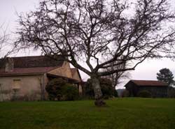 vue du gite sur le domaine agricole en dordogne perigord